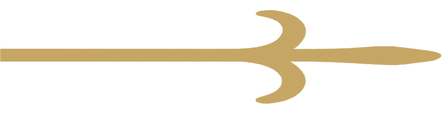 Gold Line Left
